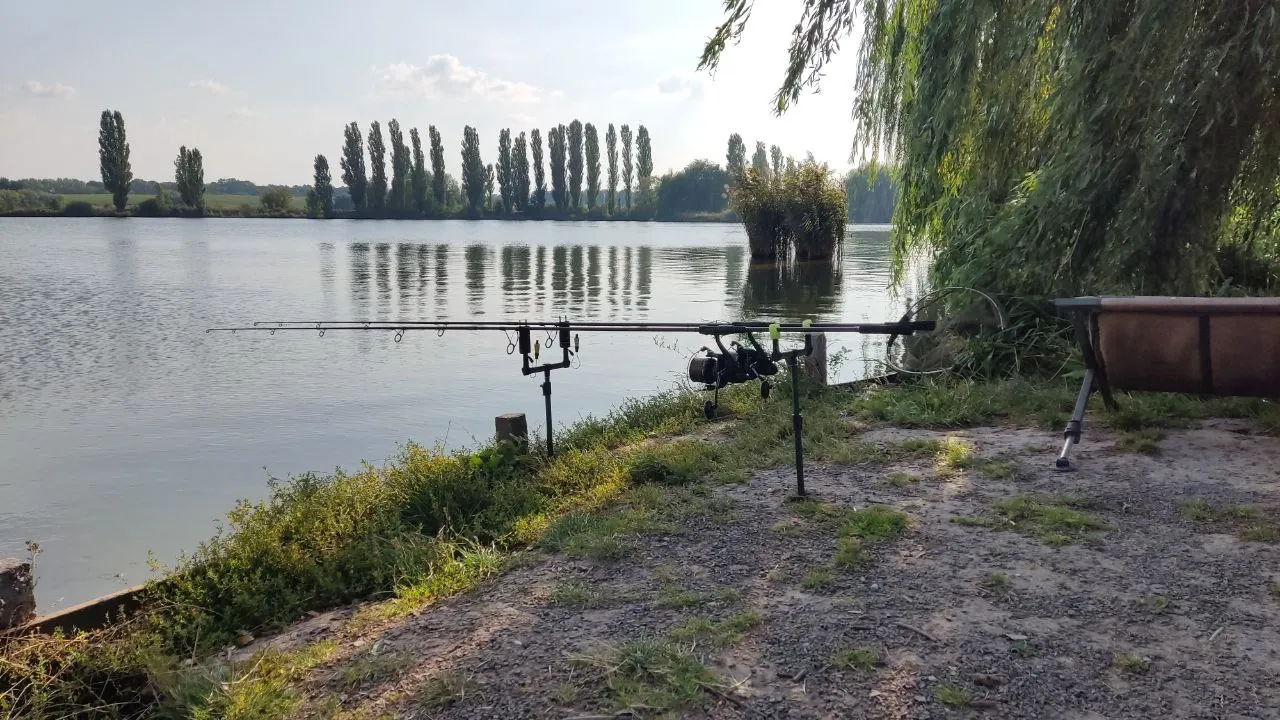 Озеро WinFish, Тернопільська обл. — риболовля, фото 12