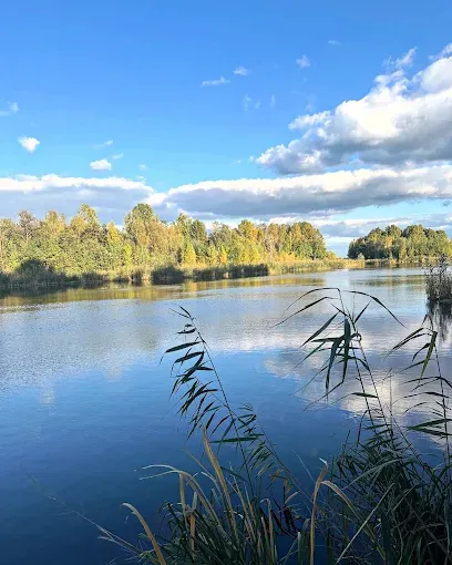 Ставок Водойма Wood River, Черкаська обл. — риболовля, фото 2
