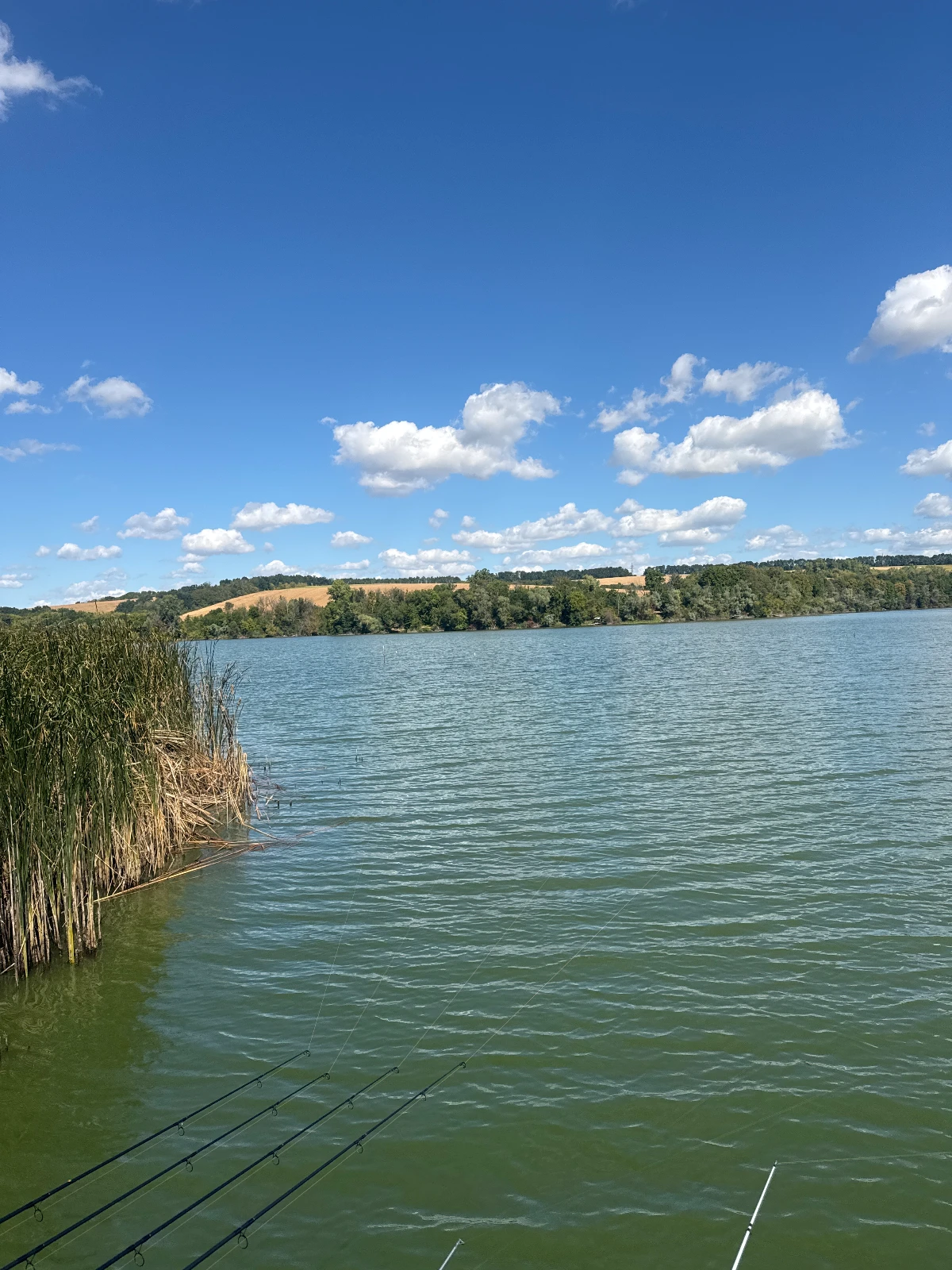 Водосховище Бужанка (р. Гнилий Тікич), Черкаська обл. — риболовля, фото 3