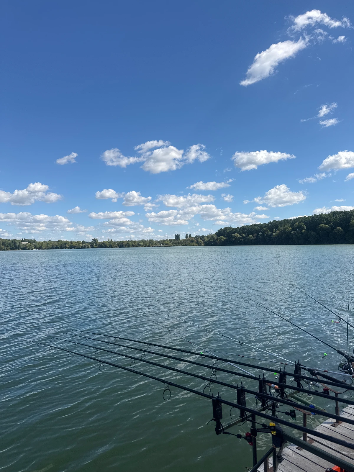 Водосховище Бужанка (р. Гнилий Тікич), Черкаська обл. — риболовля, фото 2
