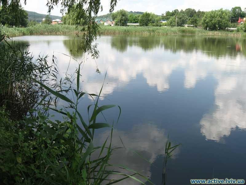 Волиця (Черепин)