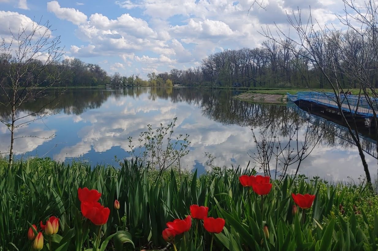 Ставок ВП «Сазан» у Івановича, Кіровоградська обл. — риболовля, фото 2