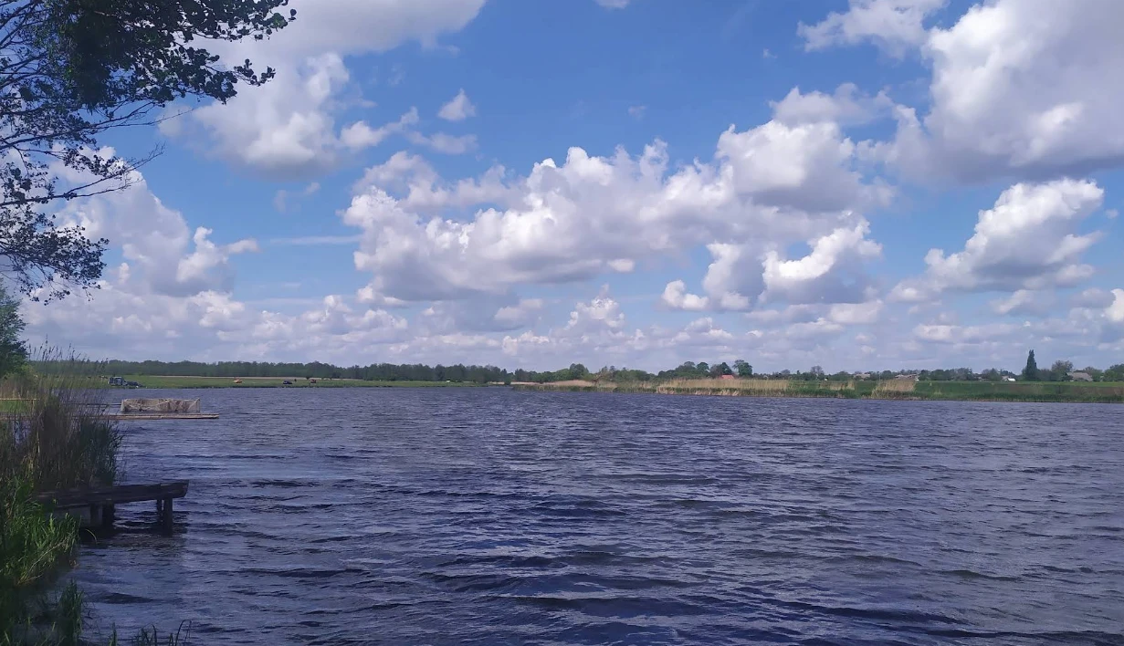 Високе