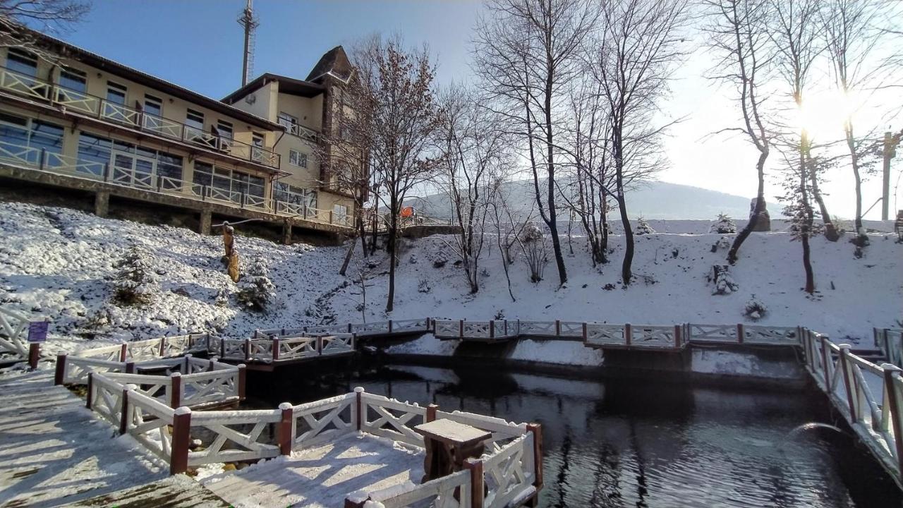 ставок для ловлі форелі, Закарпатська обл. — риболовля, фото 5