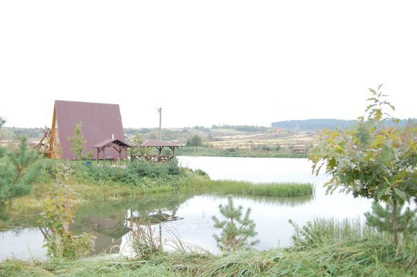 Ставок Хирів (Давниця), Львівська обл. — риболовля, фото 14