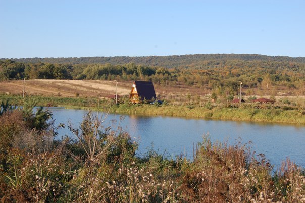 Ставок Хирів (Давниця), Львівська обл. — риболовля, фото 12