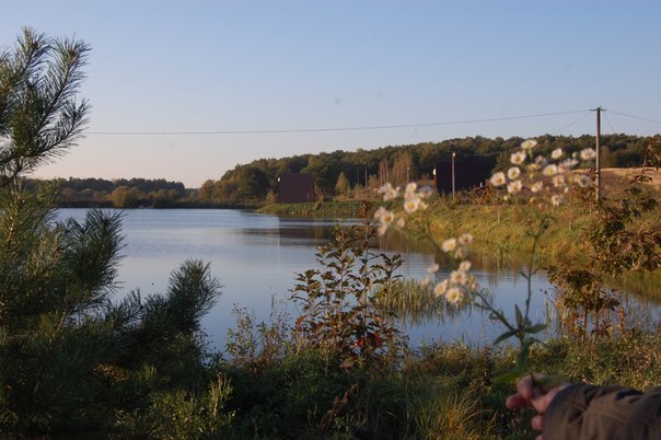 Ставок Хирів (Давниця), Львівська обл. — риболовля, фото 11