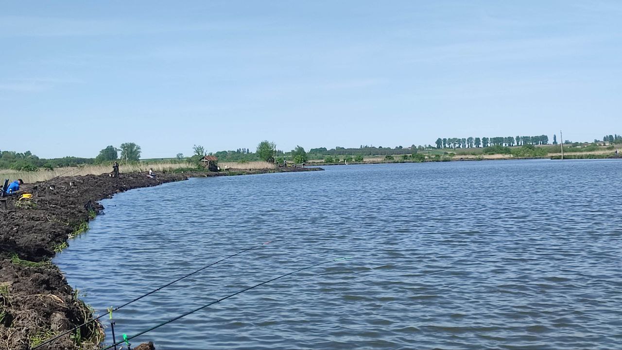 Ставок "Любительський"