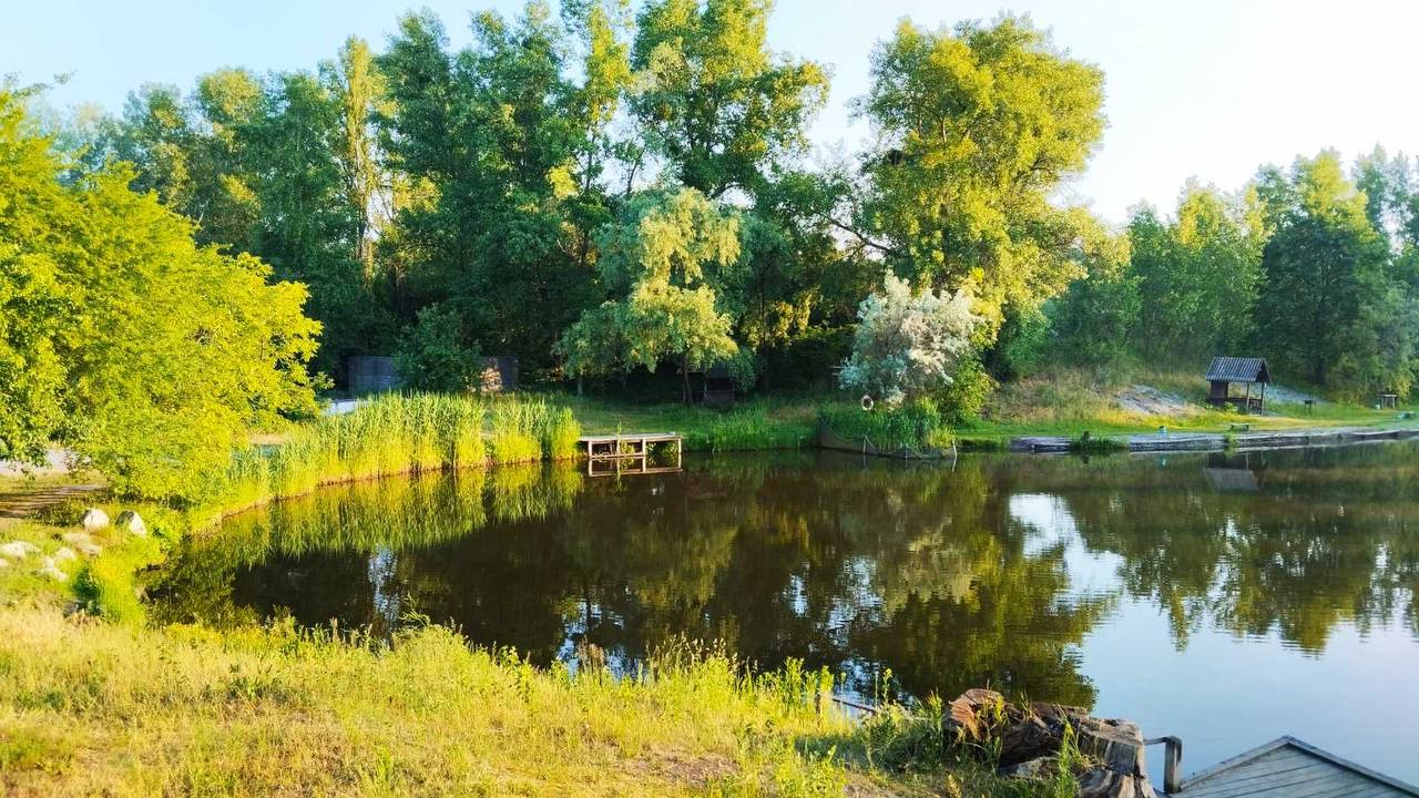 Ставок Білі Камені 1, м. Київ — риболовля, фото 4