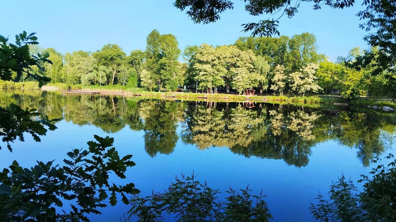 Ставок Центр Сімейної Риболовлі "Білі Камені Щуче озеро", Київ — риболовля, фото 7