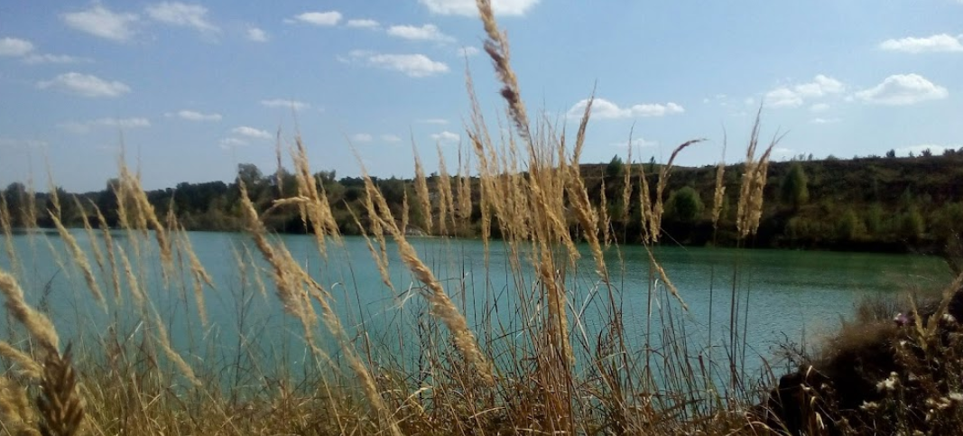 Озеро Водойма «Хутір Петрівських», Київська обл. — риболовля, фото 4