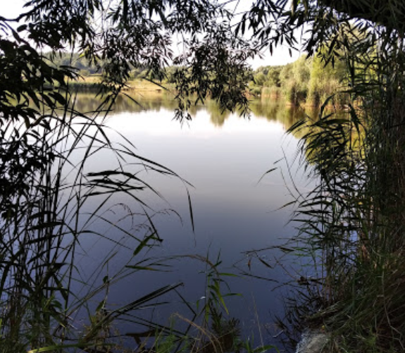 Озеро Водойма «Хутір Петрівських», Київська обл. — риболовля, фото 5