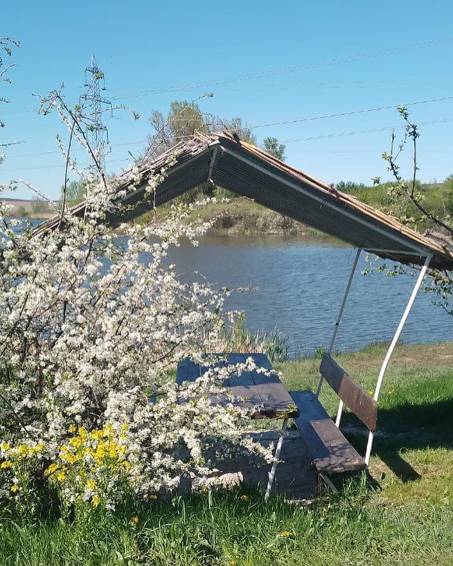 Озеро Костянтівка, Харківська обл. — риболовля, фото 12