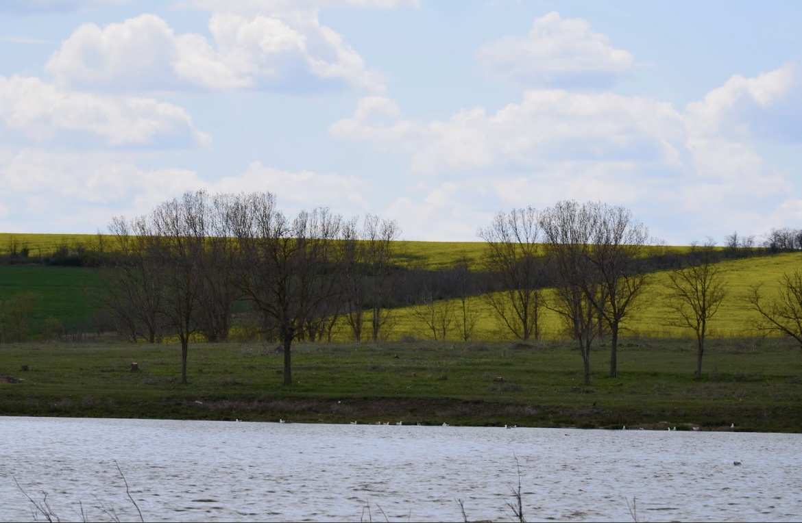Озеро Водойма "Трофейна риболовля", Одеська обл. — риболовля, фото 2