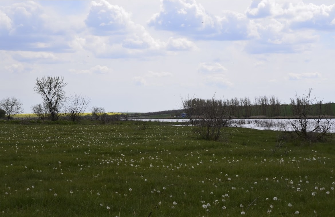 Озеро Водойма "Трофейна риболовля", Одеська обл. — риболовля, фото 8