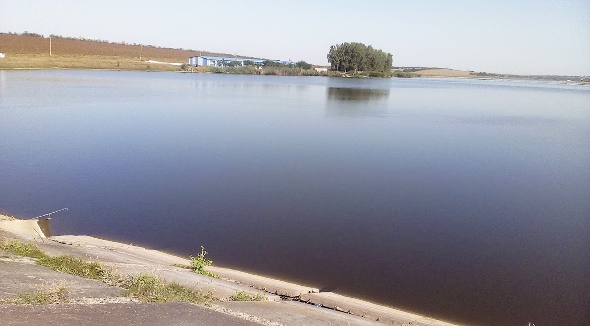 Озеро Водойма "Трофейна риболовля", Одеська обл. — риболовля, фото 5