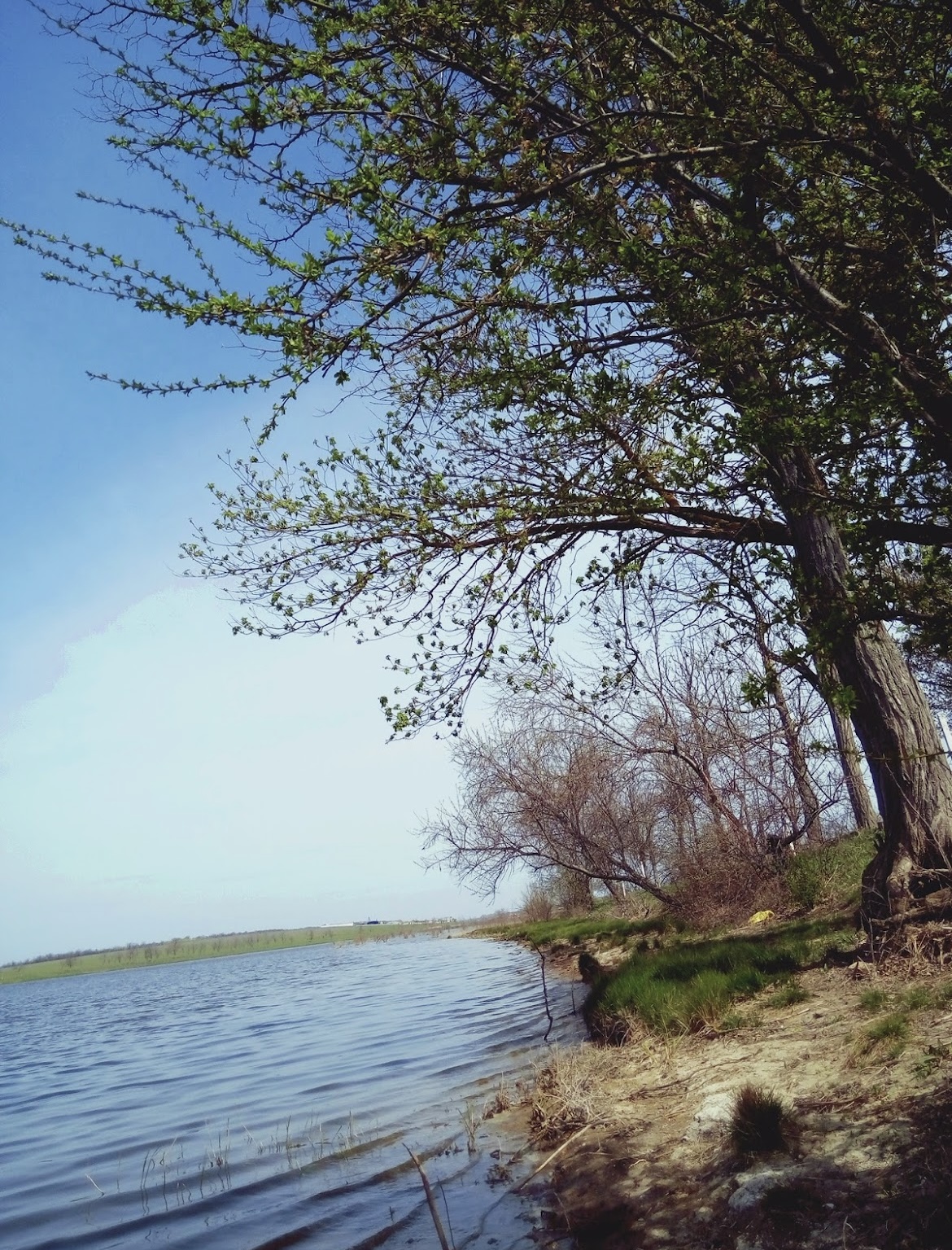 Озеро Водойма "Трофейна риболовля", Одеська обл. — риболовля, фото 3