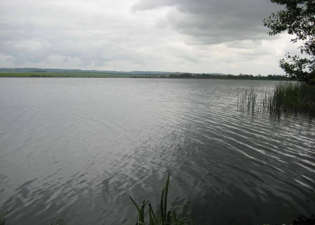 Золочів (Шевченківське озеро), Львівська обл. — риболовля, фото 5