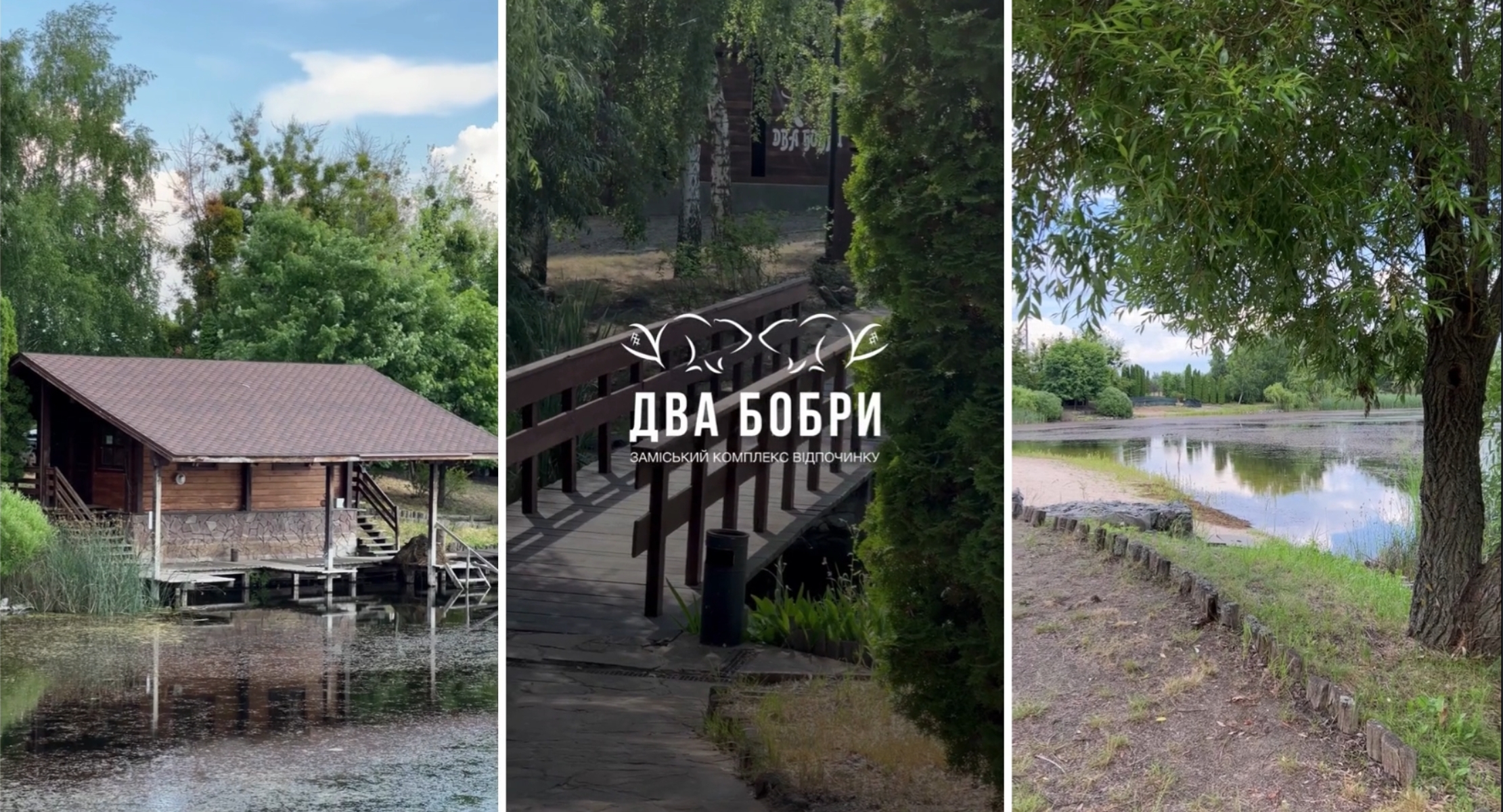 Ставок Клуб «Два бобри», Київська обл. — риболовля, фото 5