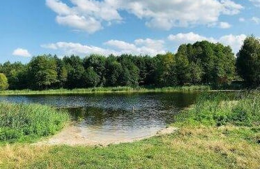 Ставок Водойма "Чорний Хутір", Житомирська обл. — риболовля, фото 6
