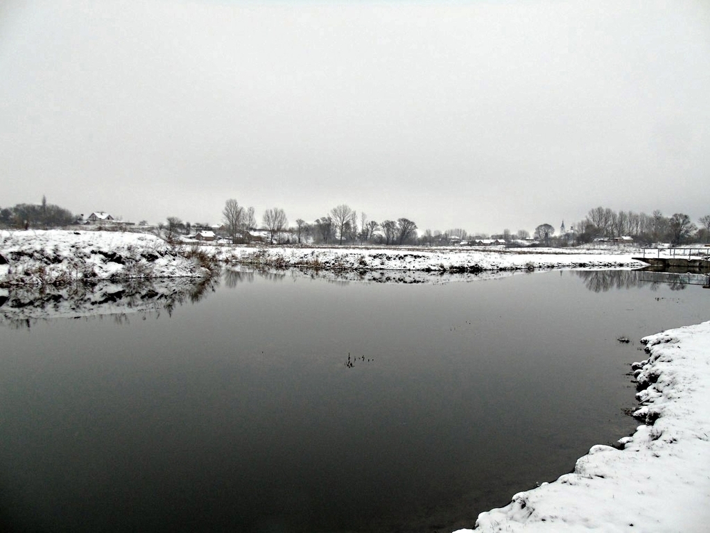 Ставок Стеблівка, Закарпатська обл. — риболовля, фото 2