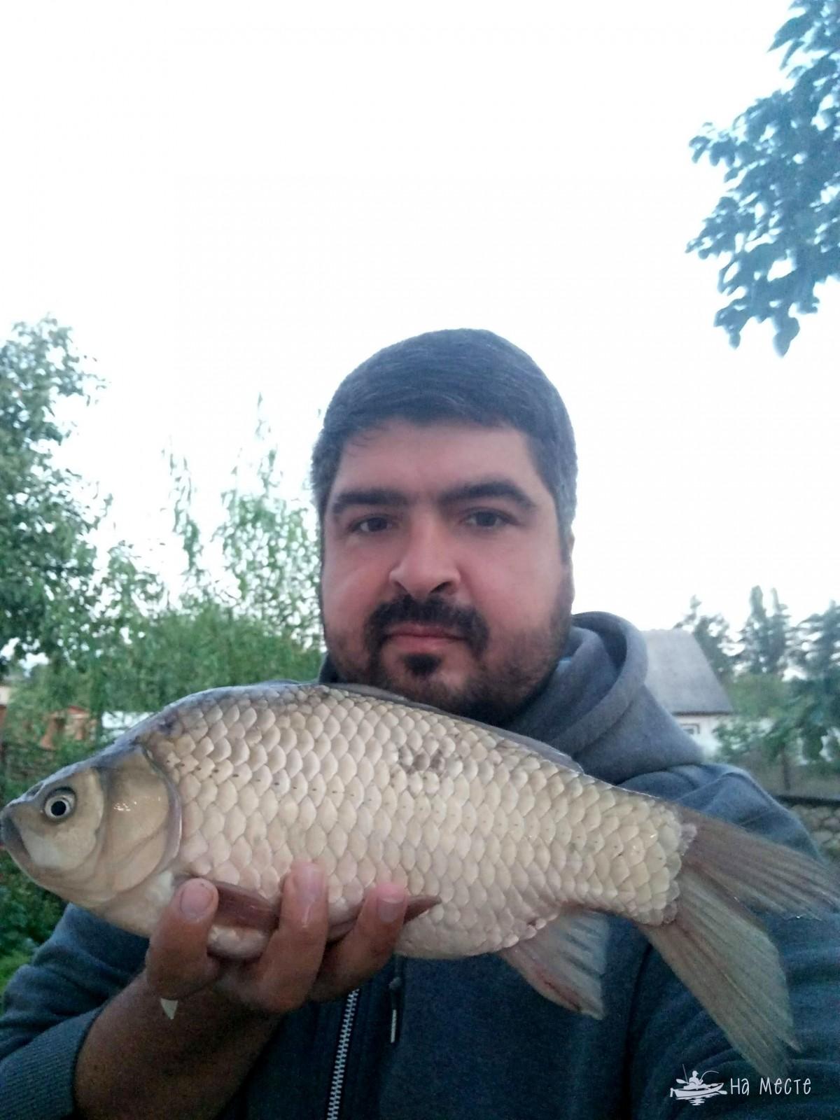 Карась 1.06 кг