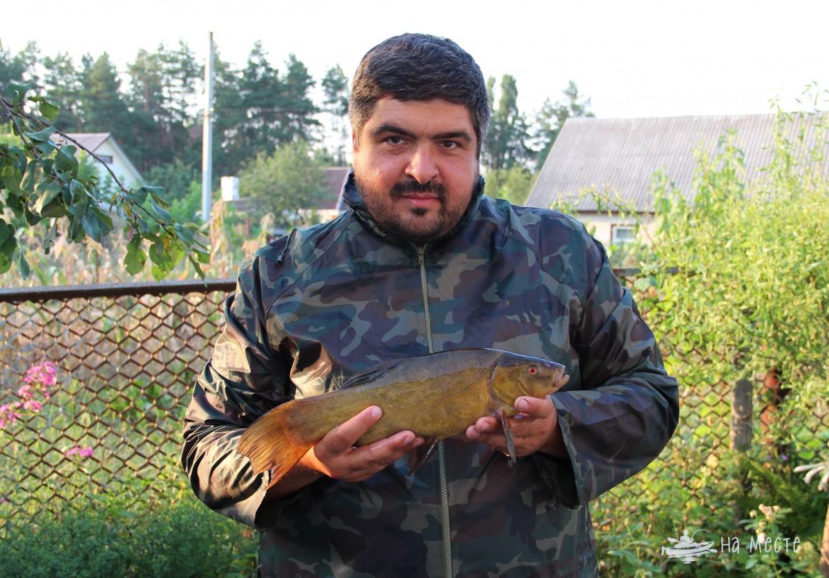 Лин 0.98 кг